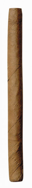Cohiba Club 20 Cigarillo mini Zigarre