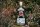 Crossbill Gin Highland Dry Gin 43,8% vol 0,7 L